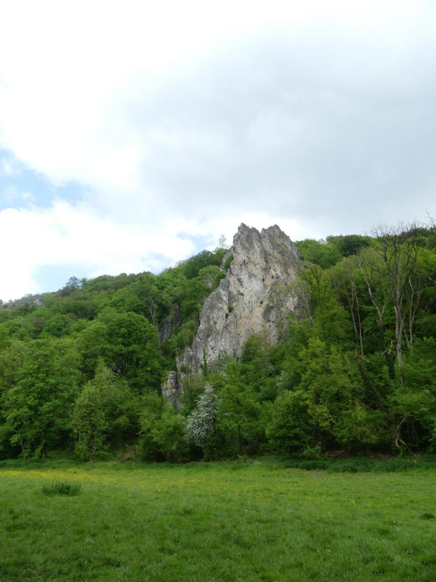 Au Bois Charmant Waulsort Экстерьер фото